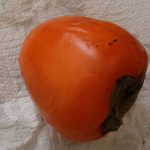Can Guinea Pigs Eat Japanese Persimmons?