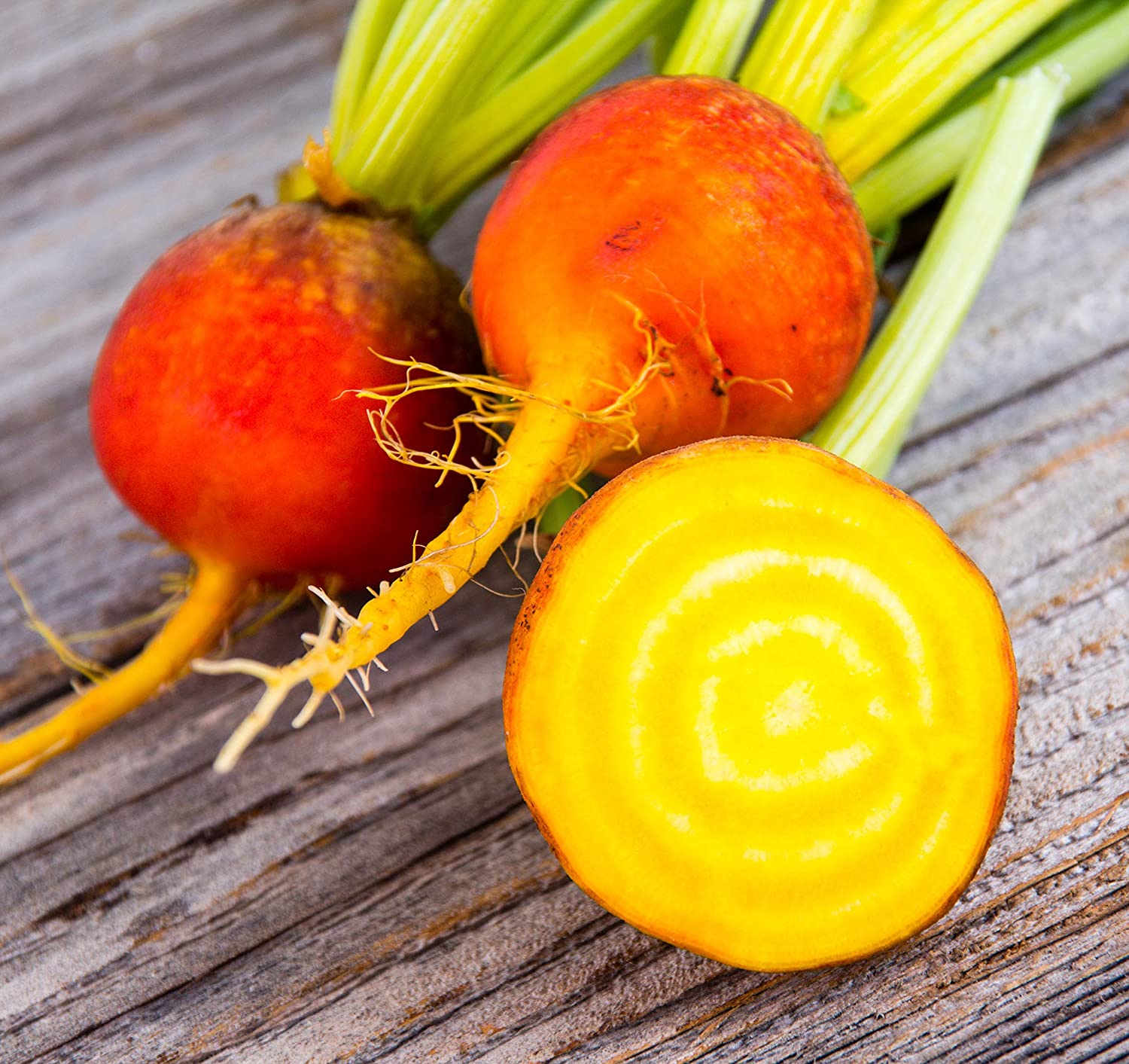 Can Guinea Pigs Eat Golden Beets 