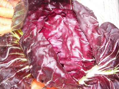 pigs radicchio