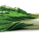 Can Guinea Pigs Eat Bok Choy Stalks?