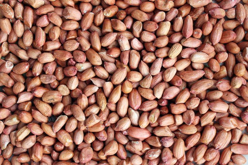 Can Guinea Pigs Eat Peanuts?